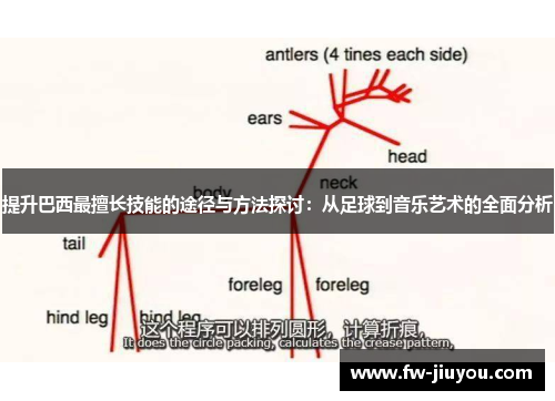 提升巴西最擅长技能的途径与方法探讨：从足球到音乐艺术的全面分析