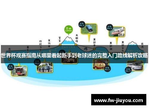 世界杯观赛指南从哪里看起新手到老球迷的完整入门路线解析攻略